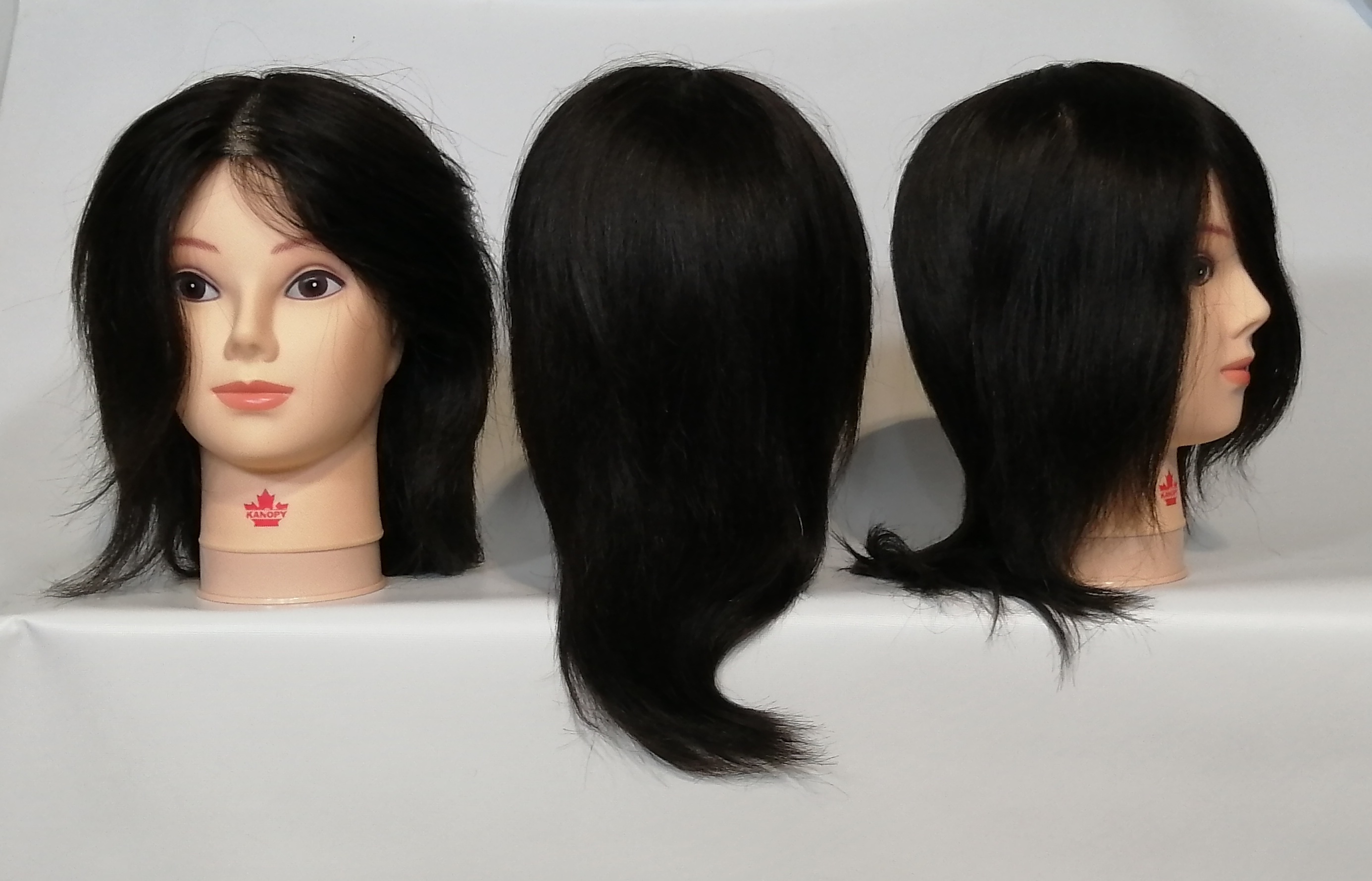 10" Mannequin Human Hair 1